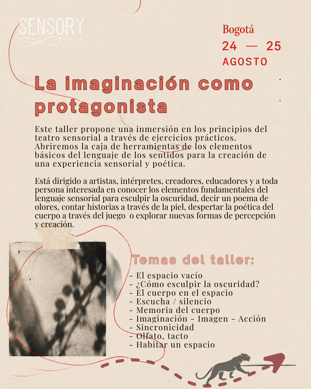 Lenguaje Sensorial en Bogotá - imagen 4
